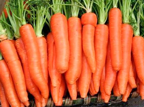 胡萝卜