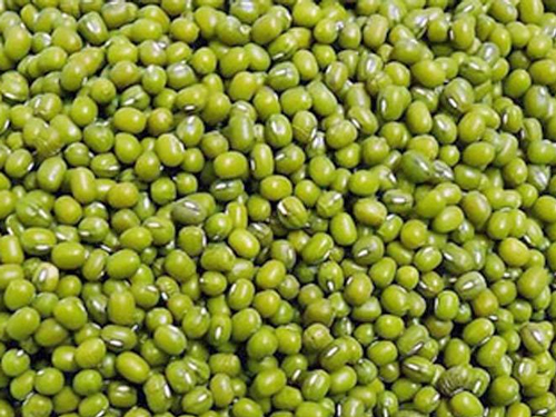 绿豆