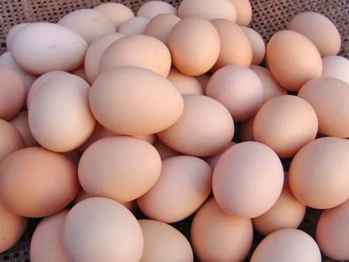 鸡蛋