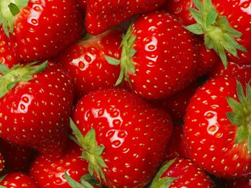 草莓